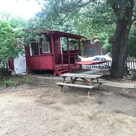 Cozy, Cheerful & Charming Cabin - Historic Julian Dış mekan fotoğraf